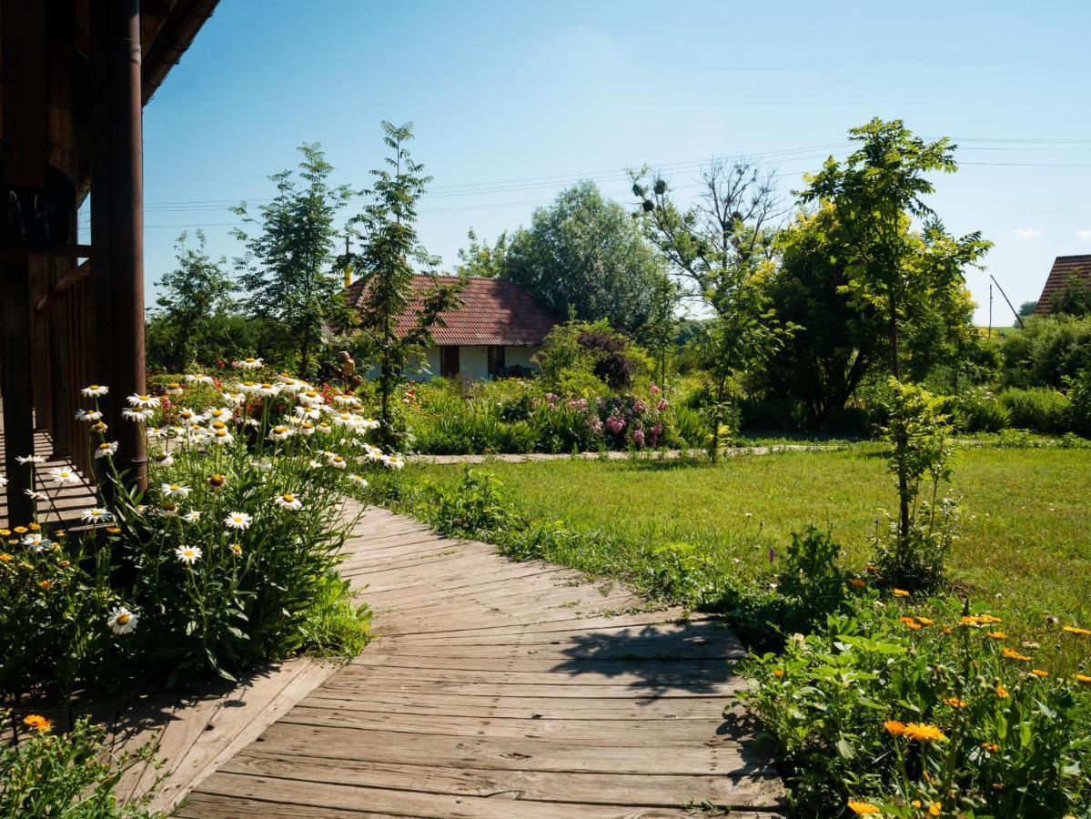 Vesela Sadyba Veselivka Exterior foto